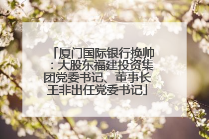 厦门国际银行换帅：大股东福建投资集团党委书记、董事长王非出任党委书记