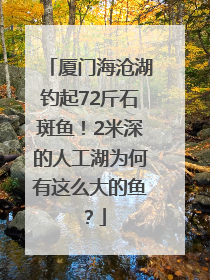 厦门海沧湖钓起72斤石斑鱼！2米深的人工湖为何有这么大的鱼？