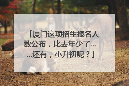 厦门这项招生报名人数公布，比去年少了……还有，小升初呢？