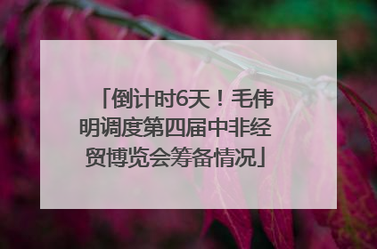 倒计时6天！毛伟明调度第四届中非经贸博览会筹备情况