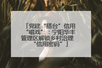党建“搭台”信用“唱戏”：宁阳华丰管理区解锁乡村治理“信用密码”
