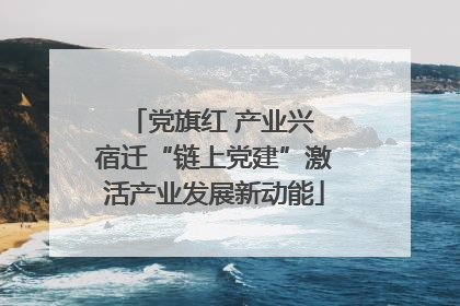 党旗红 产业兴 宿迁“链上党建”激活产业发展新动能