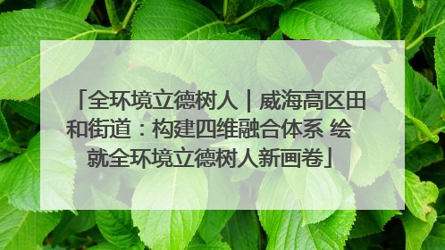 全环境立德树人｜威海高区田和街道：构建四维融合体系 绘就全环境立德树人新画卷