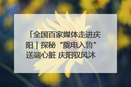 全国百家媒体走进庆阳｜探秘“陇电入鲁”送端心脏 庆阳驭风沐光点亮齐鲁万家