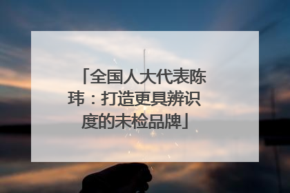全国人大代表陈玮：打造更具辨识度的未检品牌