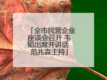 全市民营企业座谈会召开 韦韬出席并讲话 范兆森主持