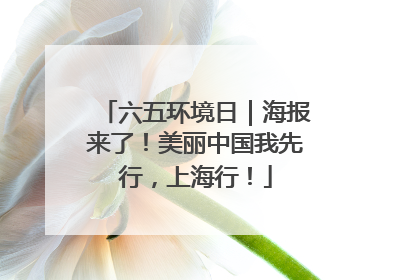 六五环境日｜海报来了！美丽中国我先行，上海行！