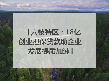 六枝特区：18亿创业担保贷款助企业发展提质加速