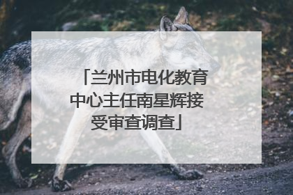 兰州市电化教育中心主任南星辉接受审查调查