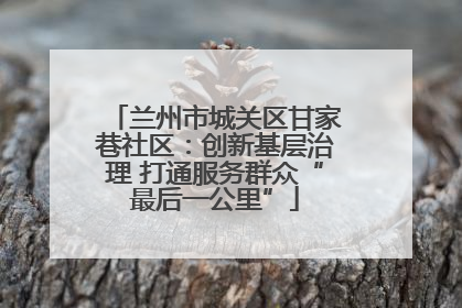 兰州市城关区甘家巷社区：创新基层治理 打通服务群众“最后一公里”