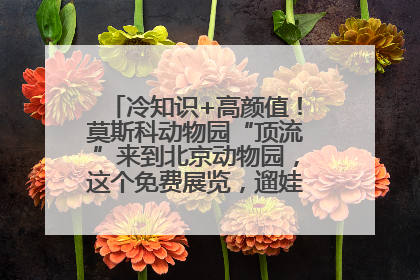 冷知识+高颜值！莫斯科动物园“顶流”来到北京动物园，这个免费展览，遛娃拍照两不误！