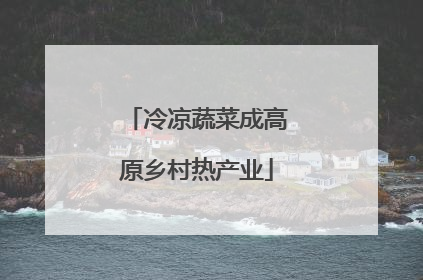 冷凉蔬菜成高原乡村热产业