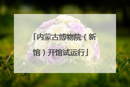 内蒙古博物院（新馆）开馆试运行