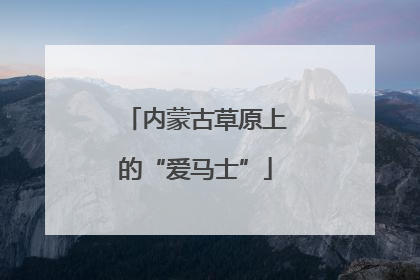 内蒙古草原上的“爱马士”