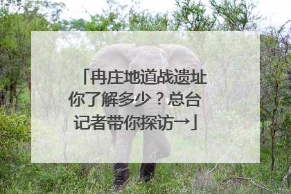 冉庄地道战遗址你了解多少？总台记者带你探访→
