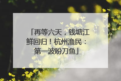 再等六天，钱塘江鲜回归！杭州渔民：第一波盼刀鱼