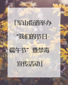 军山街道举办“我们的节日-端午节”暨禁毒宣传活动