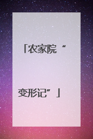 农家院“变形记”