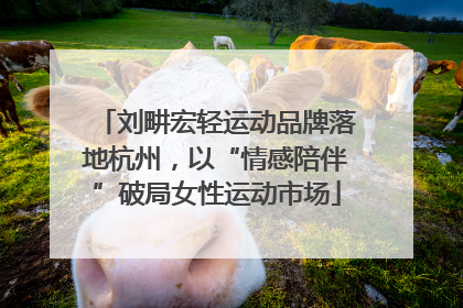 刘畊宏轻运动品牌落地杭州，以“情感陪伴”破局女性运动市场