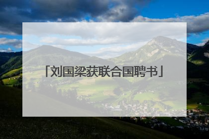 刘国梁获联合国聘书