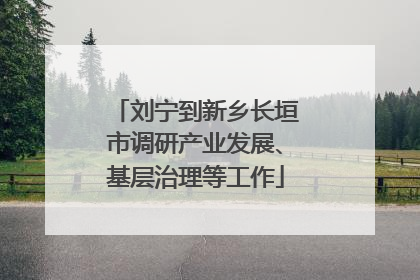 刘宁到新乡长垣市调研产业发展、基层治理等工作