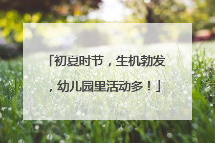 初夏时节，生机勃发，幼儿园里活动多！