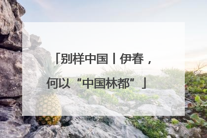 别样中国丨伊春，何以“中国林都”
