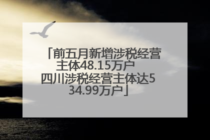 前五月新增涉税经营主体48.15万户 四川涉税经营主体达534.99万户