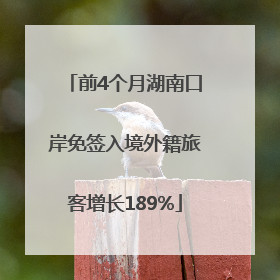 前4个月湖南口岸免签入境外籍旅客增长189%