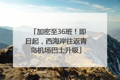 加密至36班！即日起，西海岸往返青岛机场巴士升级