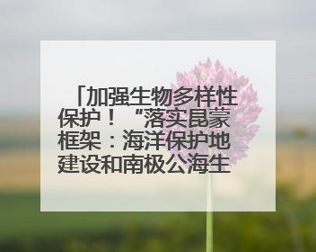 加强生物多样性保护！“落实昆蒙框架：海洋保护地建设和南极公海生态保护”主题论坛将举办