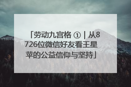 劳动九宫格 ①｜从8726位微信好友看王星苹的公益信仰与坚持