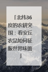 北纬36度的农耕突围：看安丘农品如何征服世界味蕾