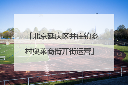北京延庆区井庄镇乡村奥莱商街开街运营