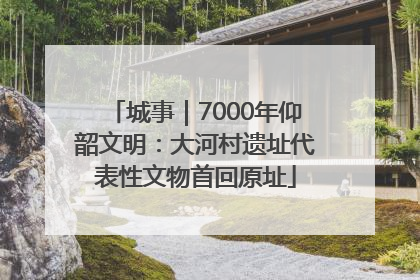 城事｜7000年仰韶文明：大河村遗址代表性文物首回原址