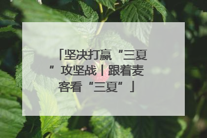 坚决打赢“三夏”攻坚战丨跟着麦客看“三夏”