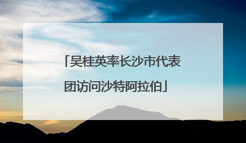 吴桂英率长沙市代表团访问沙特阿拉伯