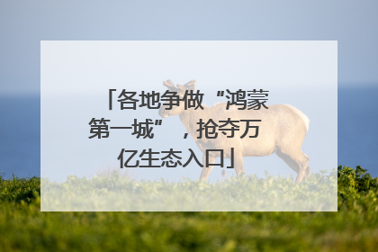 各地争做“鸿蒙第一城”，抢夺万亿生态入口
