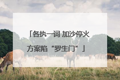 各执一词 加沙停火方案陷“罗生门”