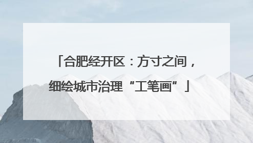 合肥经开区：方寸之间，细绘城市治理“工笔画”