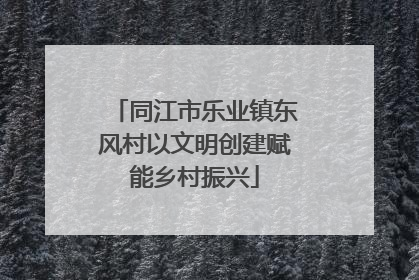 同江市乐业镇东风村以文明创建赋能乡村振兴