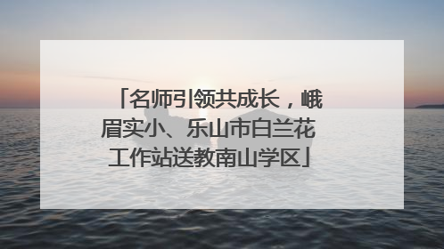 名师引领共成长，峨眉实小、乐山市白兰花工作站送教南山学区