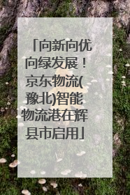 向新向优向绿发展！京东物流(豫北)智能物流港在辉县市启用
