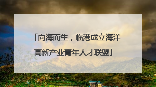向海而生，临港成立海洋高新产业青年人才联盟