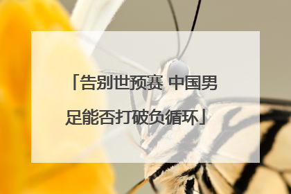 告别世预赛 中国男足能否打破负循环