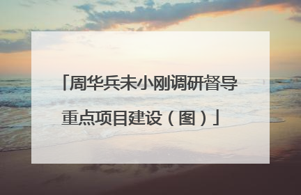 周华兵未小刚调研督导重点项目建设（图）