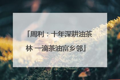 周利：十年深耕油茶林 一滴茶油富乡邻