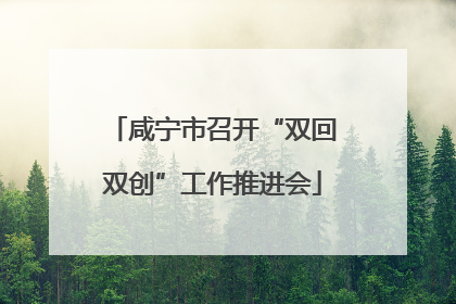 咸宁市召开“双回双创”工作推进会