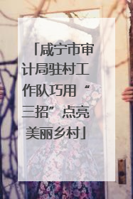 咸宁市审计局驻村工作队巧用“三招”点亮美丽乡村