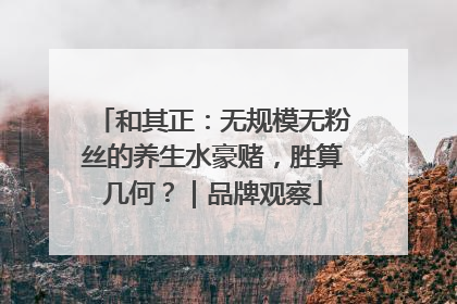 和其正：无规模无粉丝的养生水豪赌，胜算几何？｜品牌观察